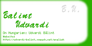 balint udvardi business card